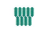 Elastic Ligatures for Braces – 1080 Pieces, 28 Colors